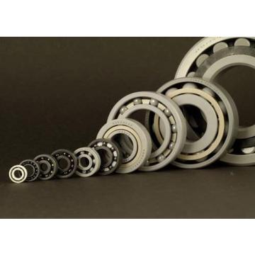Wholesalers FYCJ-8R Support Roller Bearing 8X24X15mm
