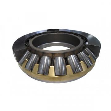 Fafnir 9103PPG 9103 PPG, Single Row Radial Bearing with snap ring
