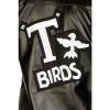 Official Licensed Grease T-Birds 50s Film Fancy Dress Costume Boys 7-12 years