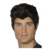 Adult Official Grease Danny Wig Rocker Teddy Boy Hair #1 small image