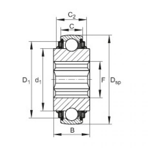 FAG Self-aligning deep groove ball bearings - SK104-210-KTT-B-L402/70 #1 image