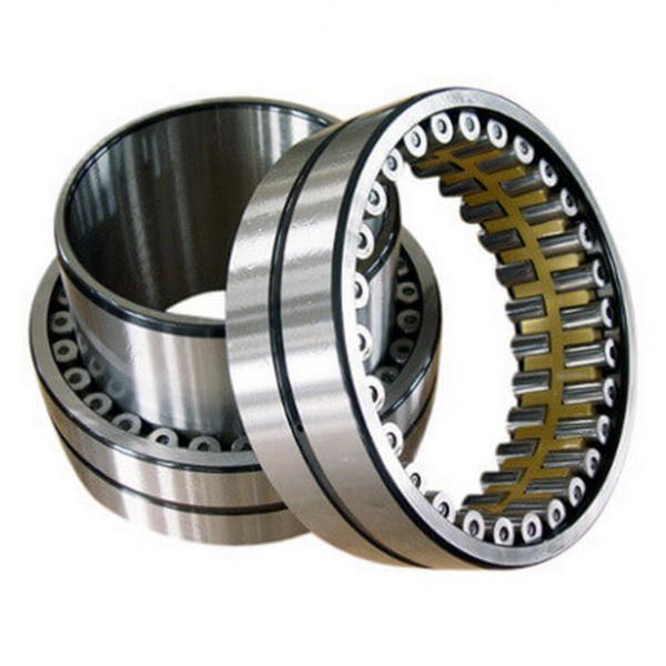 NU1014ECM/C4VL0241 Insocoat Cylindrical Roller Bearing 70x110x20mm #1 image