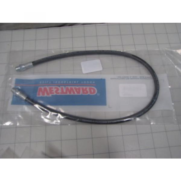 Westward 4BY83 Grease Gun 24&#034; Whip Hose / Hose Extension #1 image